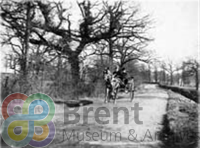 TH\CT\PI\PR\0090_th.jpg; 90; ;